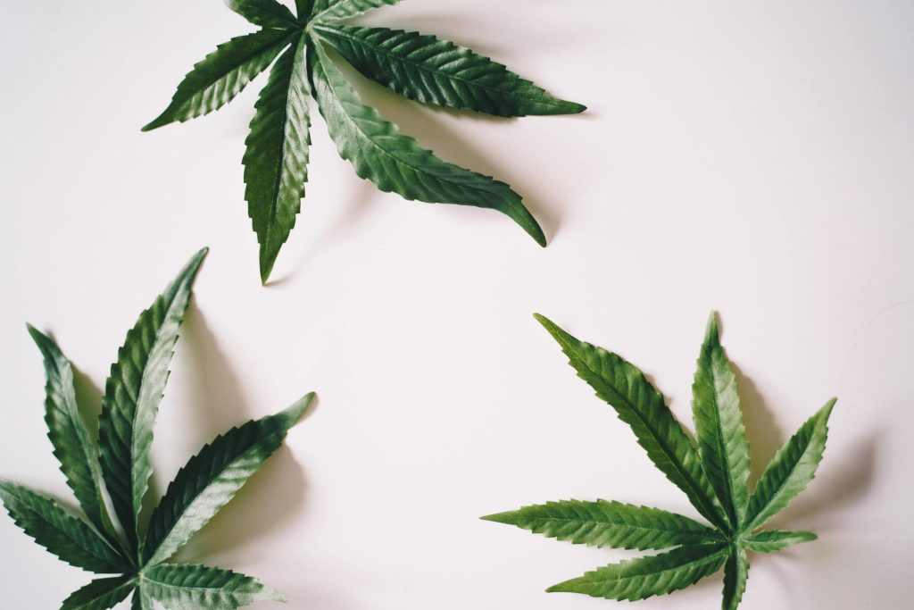 cbd 92435139