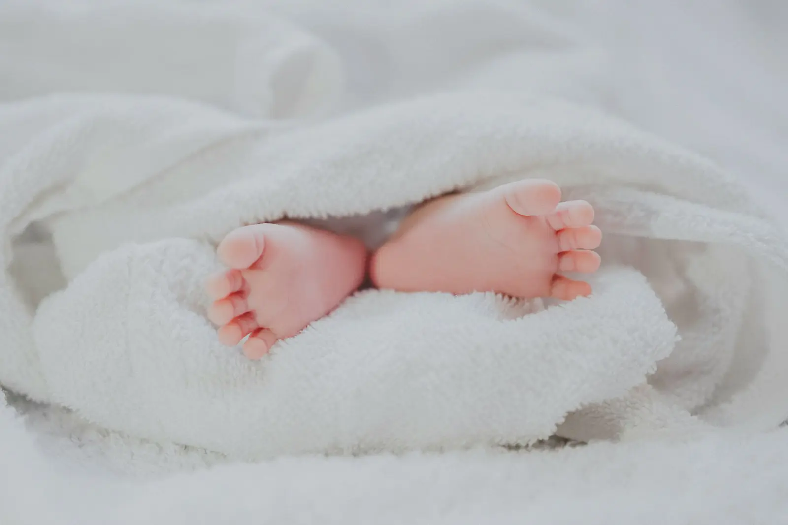 lien entre la courbe de température et la fertilité